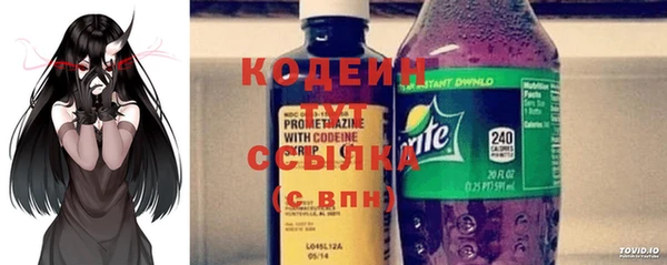 прущие крисы Вяземский