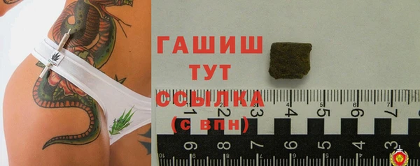 индика Вязьма