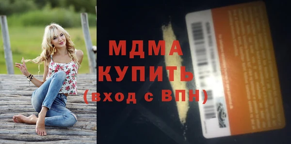 индика Вязьма