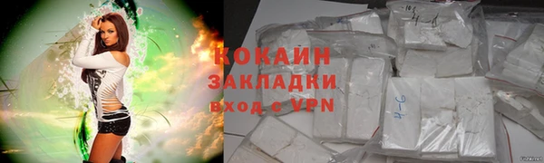 индика Вязьма
