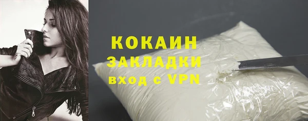 индика Вязьма