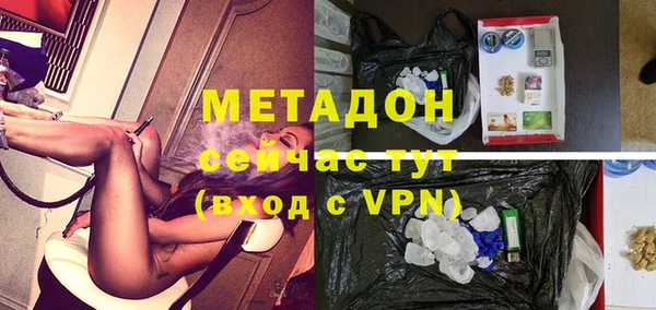 индика Вязьма