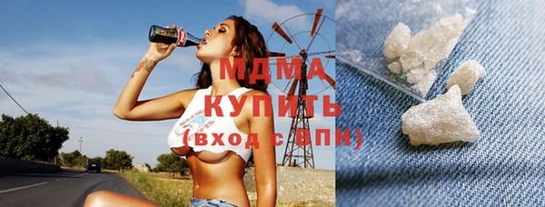 индика Вязьма
