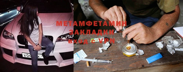 индика Вязьма